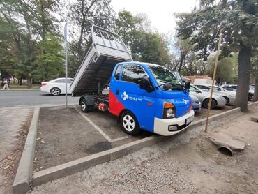 Жеңил жүк ташуучу транспорт: Жеңил жүк ташуучу унаа, Hyundai, Стандарт, 1ге чейин т, Жаңы