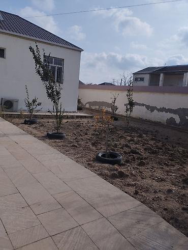 Həyət evləri və villaların satışı: 3 otaqlı, 80 kv. m, Yeni təmirli — 5