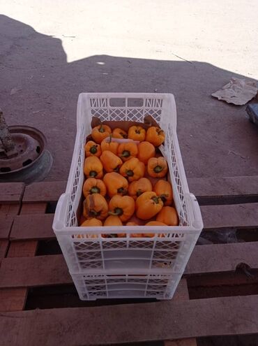 Бонбоньерки: Ящики для абрикоса слива помидор клубника вишня яблоки гранат перец