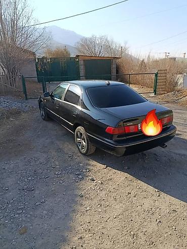 тойота камри 80 фото: Toyota Camry: 1999 г., Механика, Бензин, Седан — 3