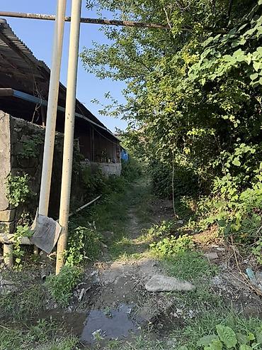 hövsan satılıq evlər: 23 sot, Tikinti, Mülkiyyətçi, Kupça (Çıxarış) — 5