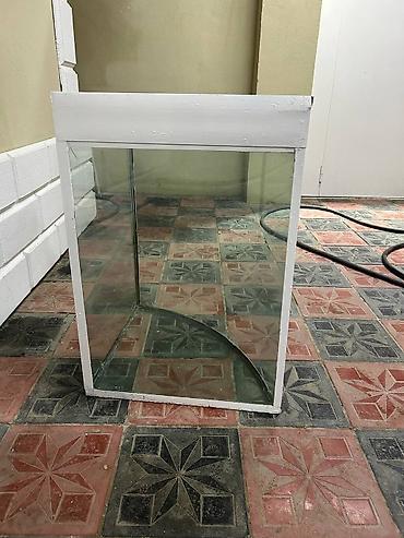 Оборудование для магазинов: Bucaqlı (kənar) akvarium/künc vitrini - Forma: ön hissəsi qövsvari — 3