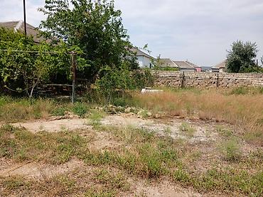 Torpaq sahələrinin satışı: 4 sot -da lalafo.az — 6 Torpaq sahələrinin satışı: 4 sot — 6