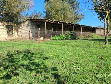 Bağ evlərinin satışı: Xaçmaz, 2 kv. m, 1 otaqlı, Hovuzsuz, Qaz, Su, İşıq — 9