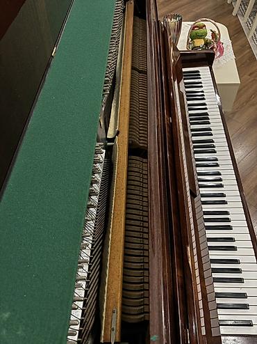 Piano, Belarus, Akustik, İşlənmiş, Ünvandan götürmə