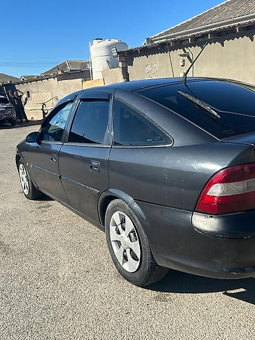 Opel: Opel Vectra: 2 l | 1996 il 4000 km Hetçbek — 6