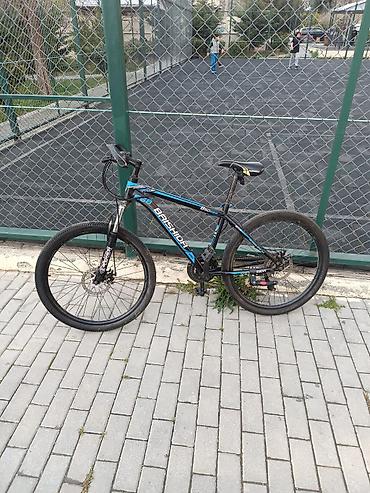 Velosipedlər: Baishida 26” dağ velosipedi - Çərçivə: yüngül alaşımlı çərçivə, idman — 2