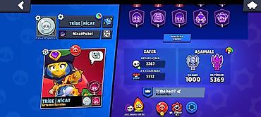 Другие антистресс-игрушки: Brawl Stars hesabı - Kubok sayı: 53 948 - Prestij: 28 - Savaşçılar — 3