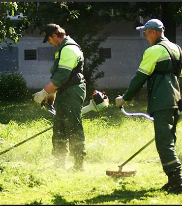 Уборка территории, Стрижка газона