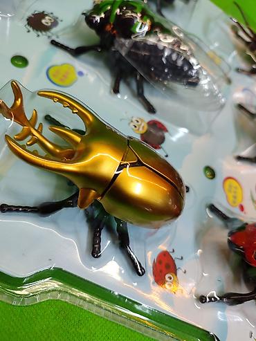 Игрушки: Насекомые игрушки заводные в комплекте для детей🐝 Комплектация at lalafo.kg — 13 Игрушки: Насекомые игрушки заводные в комплекте для детей🐝 Комплектация — 13