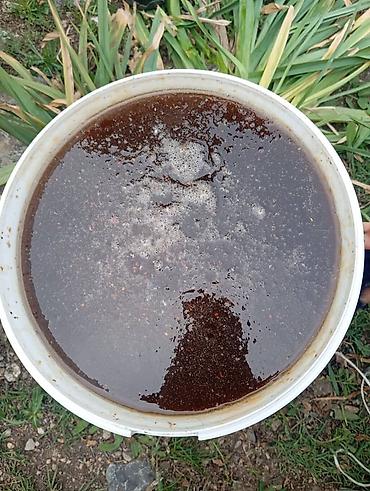 ⛰️ ГОРНЫЙ МЁД — НАТУРАЛЬНЫЙ И АРОМАТНЫЙ 🍯 Продаём натуральный горный — 1