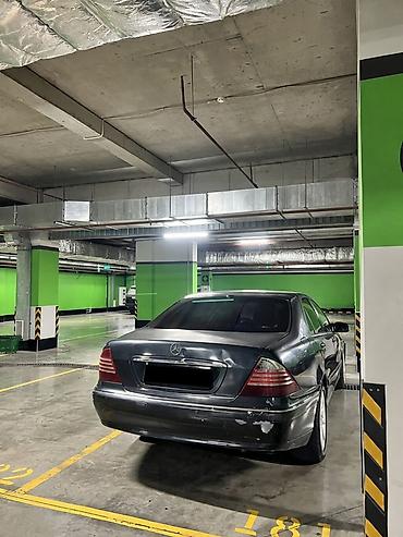 camry 1999: Mercedes-Benz S-Class: 1999 г., Седан — 1