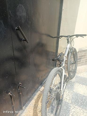 qalin teker velosiped: Sport Time dağ velosipedi - Çərçivə: yüngül alüminium tipli, “Sport — 3