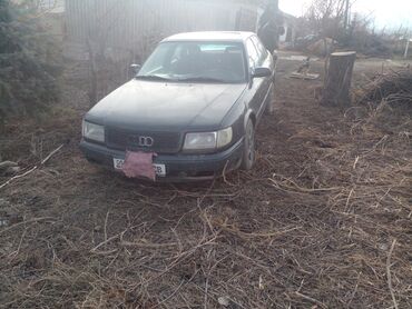 Audi: Audi 100: 1991 г., 2.8 л, Механика, Бензин