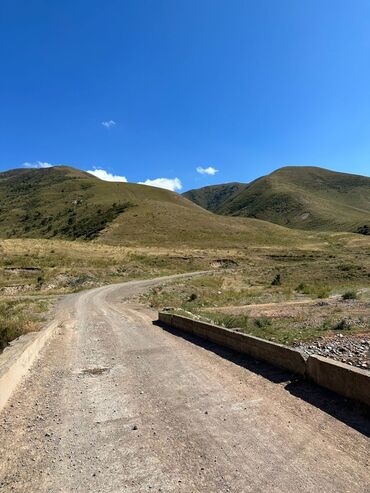 село дружба: 30 соток, Для сельского хозяйства, Красная книга