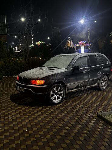 BMW: BMW X5: 2004 г., 4.4 л, Типтроник, Бензин, Кроссовер — 12