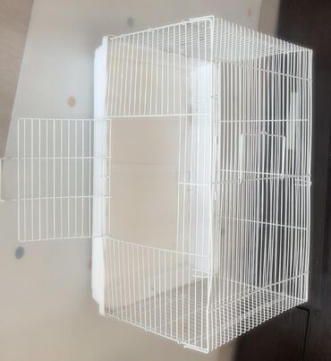 Декоративные кролики: Полный набор для содержания декоративного кролика. В комплекте: - — 17