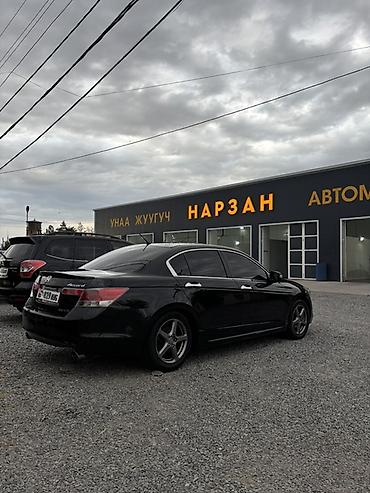 стёк: Honda Accord: 2009 г., 3.5 л, Автомат, Бензин, Седан — 2
