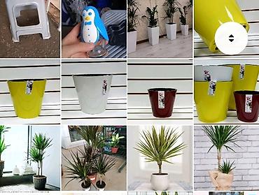 plants: Цветочные горшки Лотки, Висячие горшки, Прямоугольные горшки — 3
