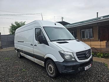 мереке авто сливы: Легкий грузовик, Mercedes-Benz, Стандарт, Новый — 2