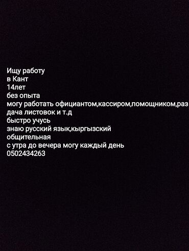 женская брюки: Требуется Официант Без опыта, Оплата Ежедневно