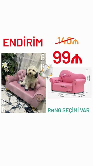Divan, Yeni