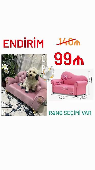dibcekde gul sekilleri: Mini-divan, Yeni — 1