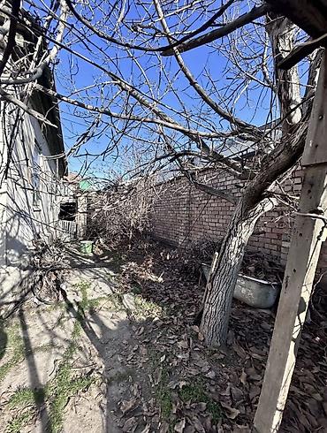 Продажа коттеджей и домов: 🏡 Продается дом/участок в хорошем районе — ул. Шукурова / Ахунбаева! — 17