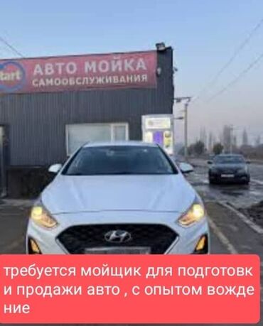личный помощник: Требуется автомойщик для подготовки и продажи автомобилей. Кандидат