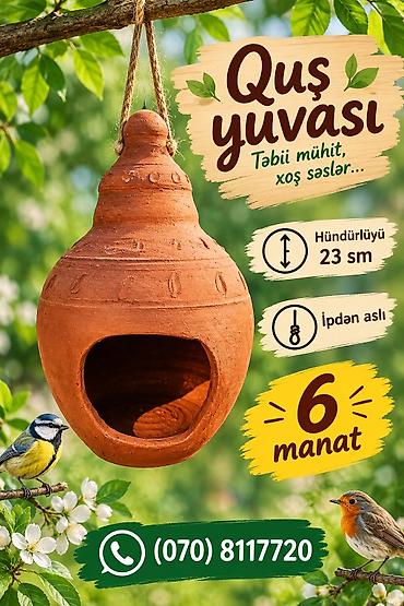 əbabil quşu: Quş yuvası – təbii mühit, xoş səslər - Material: gil/keramika — 1