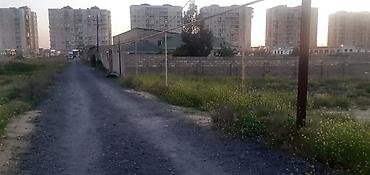 бина пз: 3 соток, Для сельского хозяйства, Собственник, Купчая, Техпаспорт — 2