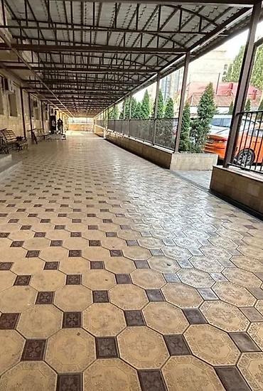 Продажа квартир: 1 комната, 41 м², Элитка, 2 этаж — 6