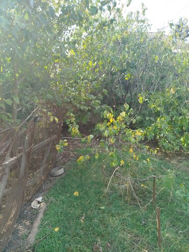 Həyət evləri və villaların satışı: 4 otaqlı, 140 kv. m, Kredit yoxdur, Yeni təmirli — 22