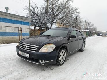 Nissan: Nissan Teana: 2003 г., 2.3 л, Автомат, Бензин, Седан