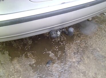 Nissan: Nissan Almera Tino: 2000 г., 2 л, Механика, Дизель, Минивэн — 6