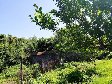 Həyət evləri və villaların satışı: 5 otaqlı, 24 kv. m, Kredit yoxdur, Orta təmir — 19