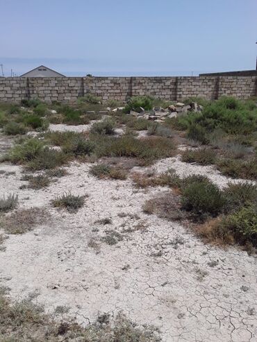 Torpaq sahələrinin satışı: 6 sot, Tikinti, Mülkiyyətçi, Kupça (Çıxarış) — 9