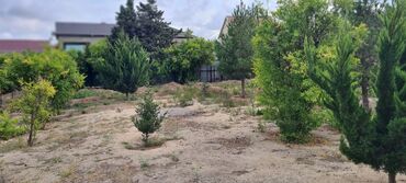 Torpaq sahələrinin satışı: Kupça (Çıxarış) — 7