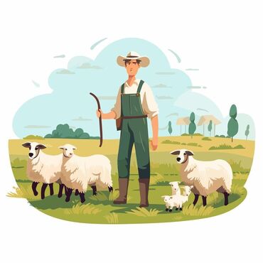 готовый бетон для фундамента бишкек цена: Чакан кой бакканга малчы керек! Үй шарттары жакшы! Айлыгы ай сайын