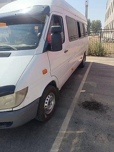 зеркало на спринтер: Mercedes-Benz Спринтер: 2000 г., 2.9 л, Механика, Дизель, Фургон — 3