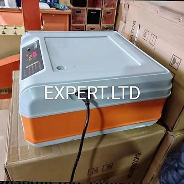 инкубаторы для яиц: Expert-şirkətinin rəsmi istehsalı, sadə avtomat və smart-rejimli — 7