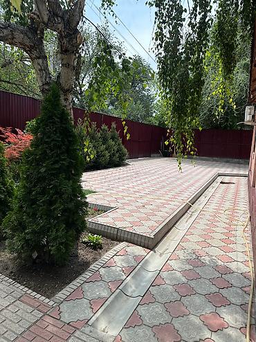 Бани, сауны, SPA: Баня, Сауна, Хамам | Массаж, Пилинг, Бассейн — 12