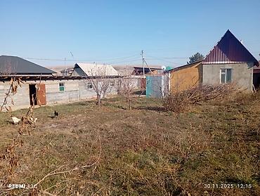 видео пантеры в коттедже: Продаётся жилая времянка с небольшим участком и хозяйственными — 3