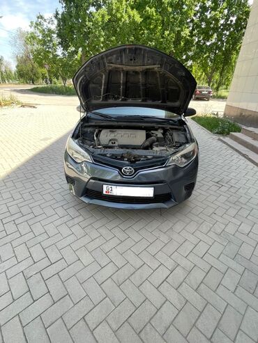Toyota: Toyota Corolla: 2016 г., 1.8 л, Автомат, Бензин, Седан — 5