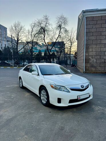 200 тайота: Toyota Camry: 2010 г., 2.4 л, Бензин, Седан