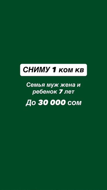 продажа иссык куль: Ищем в аренду: 1‑комнатную квартиру. Кто ищет: семья — муж, жена и