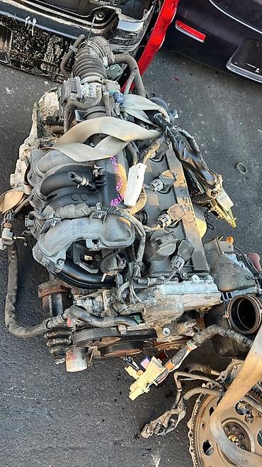 Амортизаторы, пневмобаллоны: Комплект амортизаторов Toyota Япония — 11