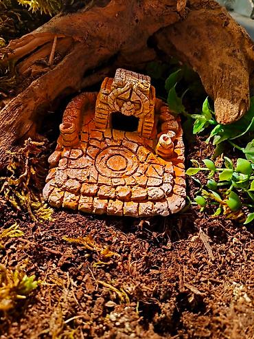 Зоотовары: 🌿 Украшения и декорации для аквариумов и террариумов 🌿 Продаю — 15