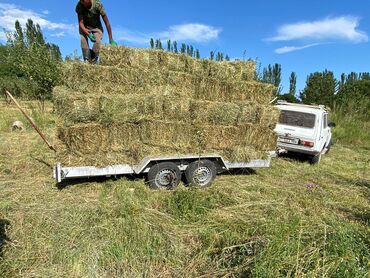 Прицепы и полуприцепы: Прицеп, Special trailer, Автовоз — 6