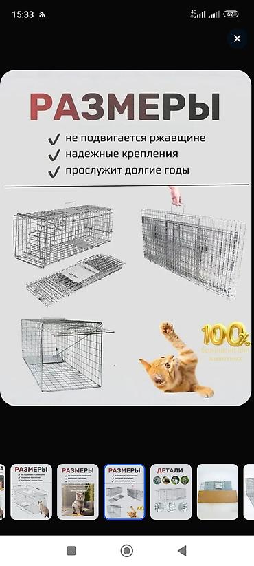 электропастух купить: Складная живоловушка-капкан гуманного типа Назначение: - Отлов кошек — 10